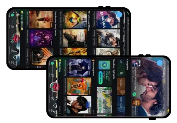 Overview moviebox App