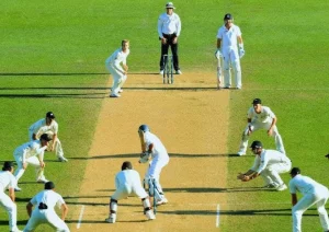 cricket