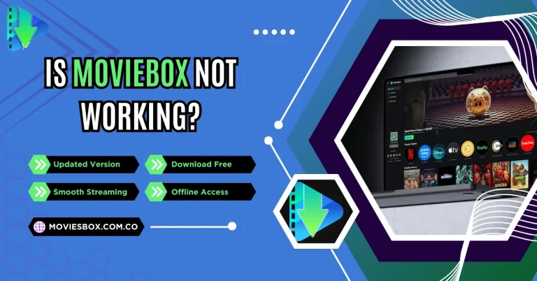 Is MovieBox Not Working? Troubleshoot & Fix It Here